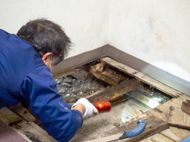 Best Water Damage Restoration  in Old Stine, CA