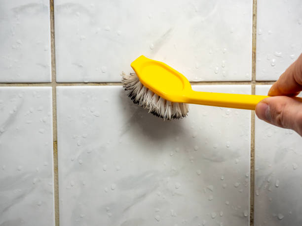 Best Mold Removal Specialists  in Old Stine, CA