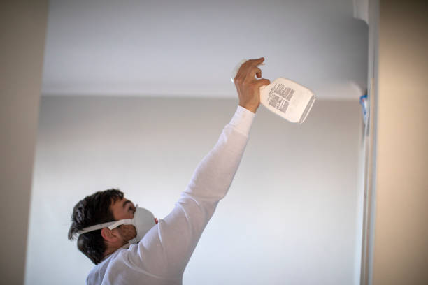 Best Emergency Mold Removal  in Old Stine, CA
