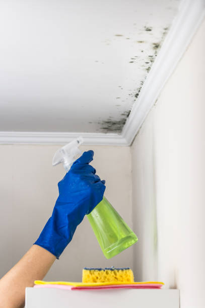 Best Crawl Space Mold Removal  in Old Stine, CA
